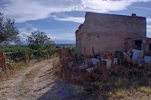 L'establiment comercial a Tollo, Chieti, Tollo - € 45.000 | Ref: OR506 - foto 3