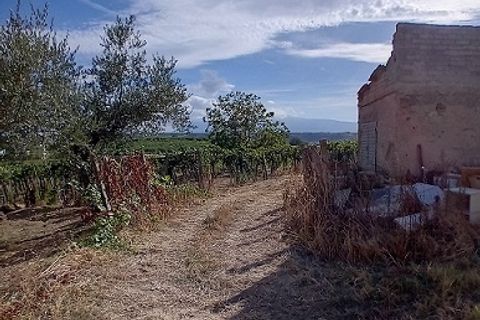 L'establiment comercial a Tollo, Chieti, Tollo - € 45.000 | Ref: OR506 - foto 4