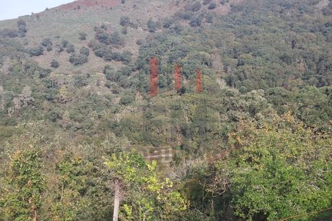 Villa i Ponte da Barca, Viana do Castelo, Ponte da Barca - € 22.000 | Ref: FM1065 - foto 15