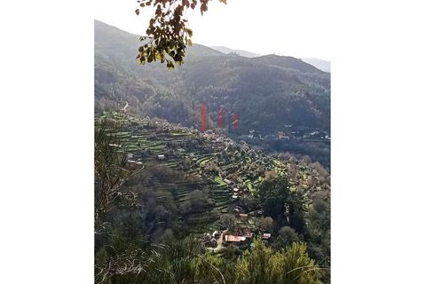 Villa i Ponte da Barca, Viana do Castelo, Ponte da Barca - € 22.000 | Ref: FM1065 - foto 5