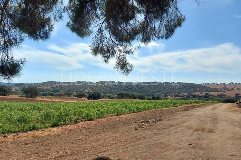 Landejendom i Serpa, Beja, Serpa - € 1.300.000 | Ref: H21968 - foto 2