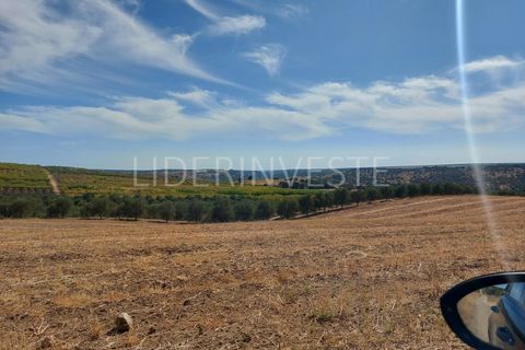 Landejendom i Serpa, Beja, Serpa - € 1.300.000 | Ref: H21968 - foto 5