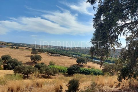 Landejendom i Serpa, Beja, Serpa - € 1.300.000 | Ref: H21968 - foto 3