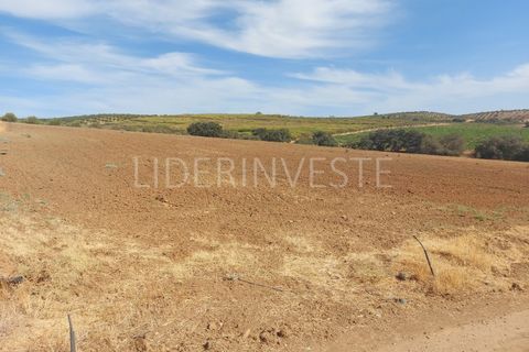 Landejendom i Serpa, Beja, Serpa - € 1.300.000 | Ref: H21968 - foto 6