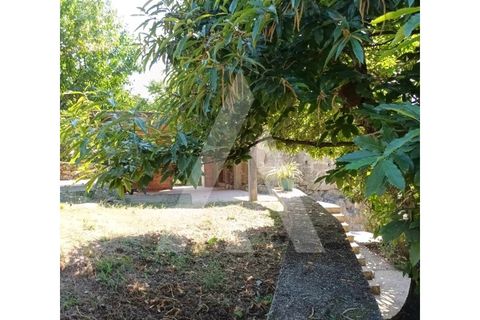 Villa i Arouca, Aveiro, Arouca - € 350.000 | Ref: 1080620/24 SJ - foto 4