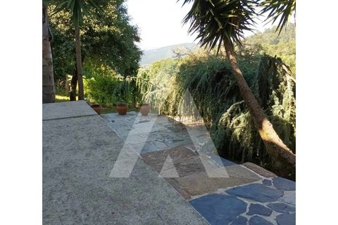 Villa i Arouca, Aveiro, Arouca - € 350.000 | Ref: 1080620/24 SJ - foto 5