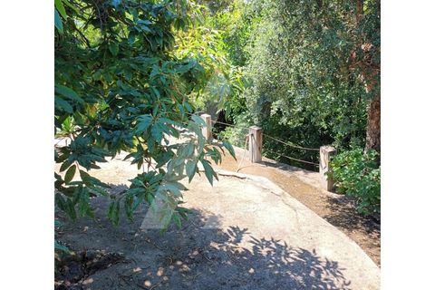 Villa i Arouca, Aveiro, Arouca - € 350.000 | Ref: 1080620/24 SJ - foto 8