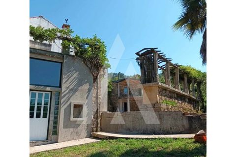 Villa i Arouca, Aveiro, Arouca - € 350.000 | Ref: 1080620/24 SJ - foto 9