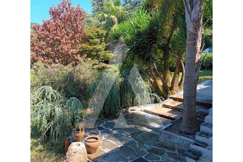 Villa i Arouca, Aveiro, Arouca - € 350.000 | Ref: 1080620/24 SJ - foto 16