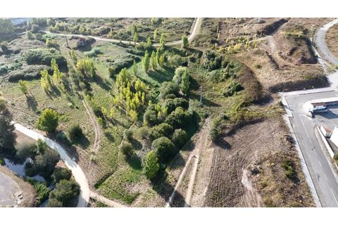 Helårsgrund i Alcobaca, Leiria, Alcobaca - € 460.000 | Ref: SÒL_320 - foto 6