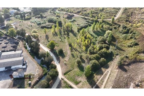 Helårsgrund i Alcobaca, Leiria, Alcobaca - € 460.000 | Ref: SÒL_320 - foto 7