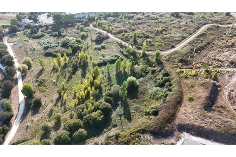 Helårsgrund i Alcobaca, Leiria, Alcobaca - € 460.000 | Ref: SÒL_320 - foto 12