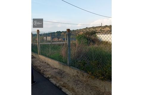 Terra a Torrao, Setubal, Torrao - € 32.500 | Ref: TER_150 - foto 2