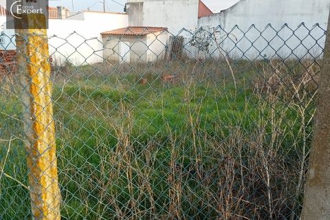 Terra a Torrao, Setubal, Torrao - € 32.500 | Ref: TER_150 - foto 4