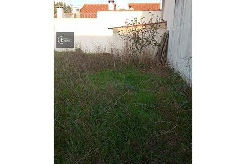 Terra a Torrao, Setubal, Torrao - € 32.500 | Ref: TER_150 - foto 5