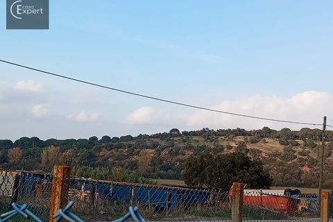 Terra a Torrao, Setubal, Torrao - € 32.500 | Ref: TER_150 - foto 6
