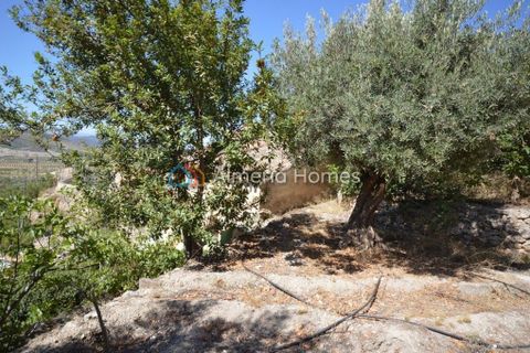 Landejendom i Oria, Almeria, Oria - € 69.000 | Ref: AH-13929 - foto 6
