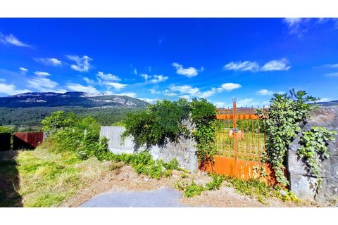 Farm i Ponte de Lima, Viana do Castelo, Ponte de Lima - € 260.000 | Ref: NH527 - foto 11