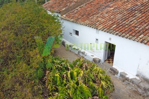 Landejendom i Monchique, Faro, Monchique - € 225.000 | Ref: CAS-6711 - foto 8