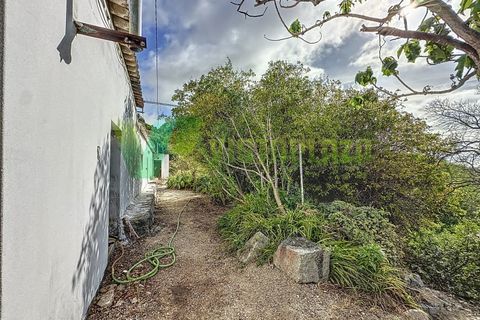 Landejendom i Monchique, Faro, Monchique - € 225.000 | Ref: CAS-6711 - foto 4