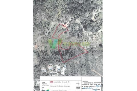 Landejendom i Monchique, Faro, Monchique - € 225.000 | Ref: CAS-6711 - foto 6