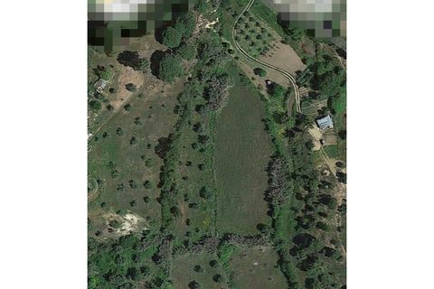 Terra a Montargil, Portalegre, Montargil - € 65.000 | Ref: W6318 - foto 11