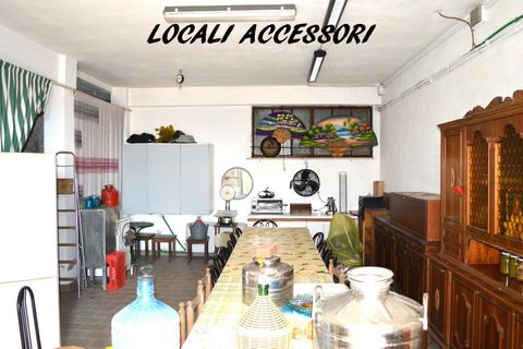 Villa a Paliano, Frosinone, Paliano - € 150.000 | Ref: 201-426 - foto 28