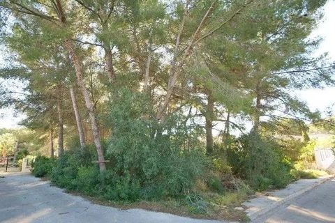 Helårsgrund i Javea, Alicante, Javea - € 185.000 | Ref: xjav4058 - foto 5