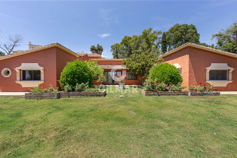 Villa a La Reserva, Malaga, La Reserva - € 1.950.000 | Ref: 200873 - foto 33