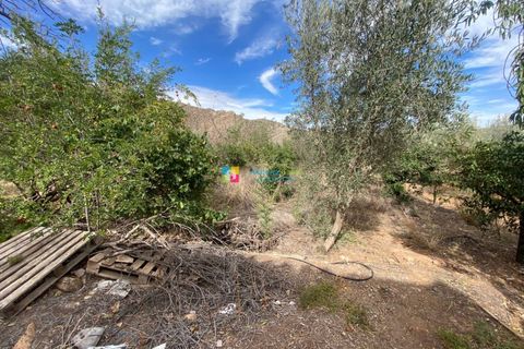 Landejendom i Cantoria, Almeria, Cantoria - € 23.000 | Ref: 2681 - foto 11