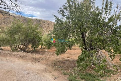 Landejendom i Cantoria, Almeria, Cantoria - € 23.000 | Ref: 2681 - foto 13