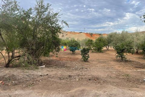 Landejendom i Cantoria, Almeria, Cantoria - € 23.000 | Ref: 2681 - foto 14