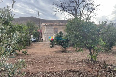 Landejendom i Cantoria, Almeria, Cantoria - € 23.000 | Ref: 2681 - foto 15