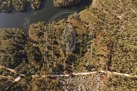 Helårsgrund i Tomar, Santarem, Tomar - € 34.000 | Ref: TAM_264 - foto 5
