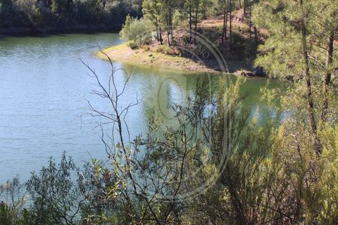 Helårsgrund i Tomar, Santarem, Tomar - € 34.000 | Ref: TAM_264 - foto 6