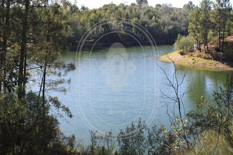 Helårsgrund i Tomar, Santarem, Tomar - € 34.000 | Ref: TAM_264 - foto 7