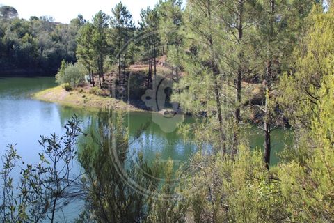 Helårsgrund i Tomar, Santarem, Tomar - € 34.000 | Ref: TAM_264 - foto 9