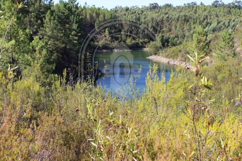 Helårsgrund i Tomar, Santarem, Tomar - € 34.000 | Ref: TAM_264 - foto 10