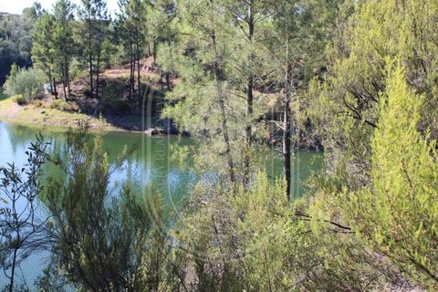 Helårsgrund i Tomar, Santarem, Tomar - € 34.000 | Ref: TAM_264 - foto 11