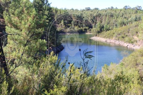 Helårsgrund i Tomar, Santarem, Tomar - € 34.000 | Ref: TAM_264 - foto 12