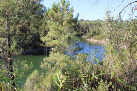 Helårsgrund i Tomar, Santarem, Tomar - € 34.000 | Ref: TAM_264 - foto 13