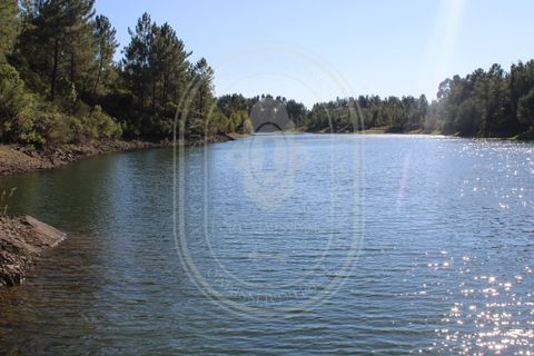 Helårsgrund i Tomar, Santarem, Tomar - € 34.000 | Ref: TAM_264 - foto 3