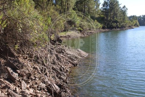 Helårsgrund i Tomar, Santarem, Tomar - € 34.000 | Ref: TAM_264 - foto 15