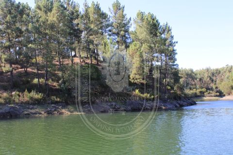 Helårsgrund i Tomar, Santarem, Tomar - € 34.000 | Ref: TAM_264 - foto 16