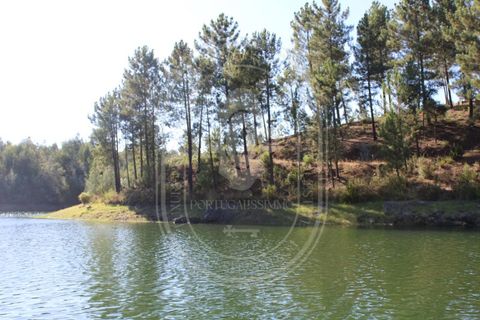 Helårsgrund i Tomar, Santarem, Tomar - € 34.000 | Ref: TAM_264 - foto 17