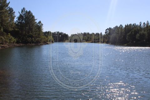 Helårsgrund i Tomar, Santarem, Tomar - € 34.000 | Ref: TAM_264 - foto 19