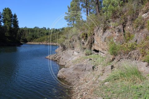 Helårsgrund i Tomar, Santarem, Tomar - € 34.000 | Ref: TAM_264 - foto 21