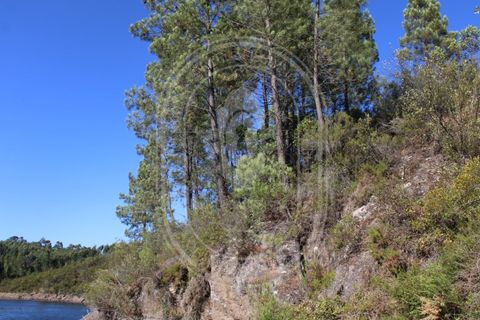 Helårsgrund i Tomar, Santarem, Tomar - € 34.000 | Ref: TAM_264 - foto 23