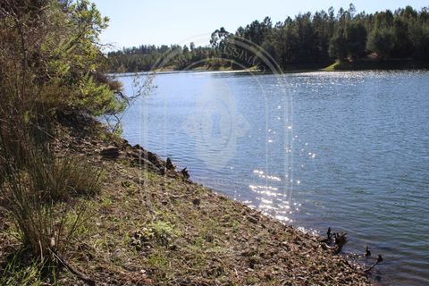 Helårsgrund i Tomar, Santarem, Tomar - € 34.000 | Ref: TAM_264 - foto 25