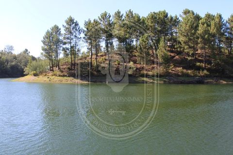 Helårsgrund i Tomar, Santarem, Tomar - € 34.000 | Ref: TAM_264 - foto 26